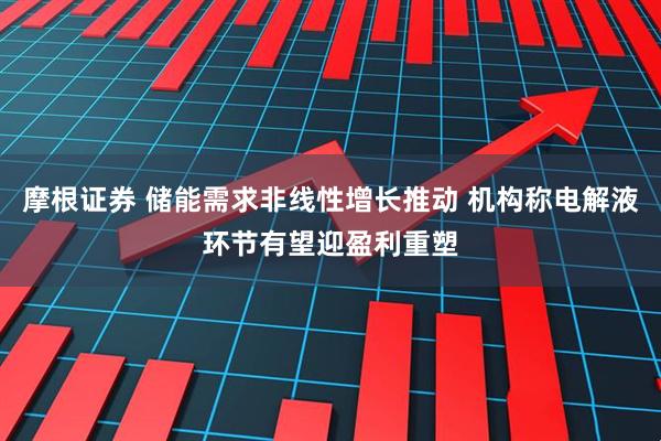 摩根证券 储能需求非线性增长推动 机构称电解液环节有望迎盈利重塑